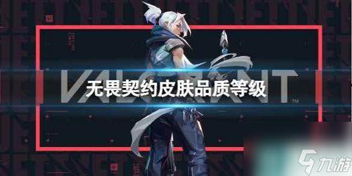 无谓契约最新皮肤爆料,神秘力量觉醒，视觉盛宴即将开启